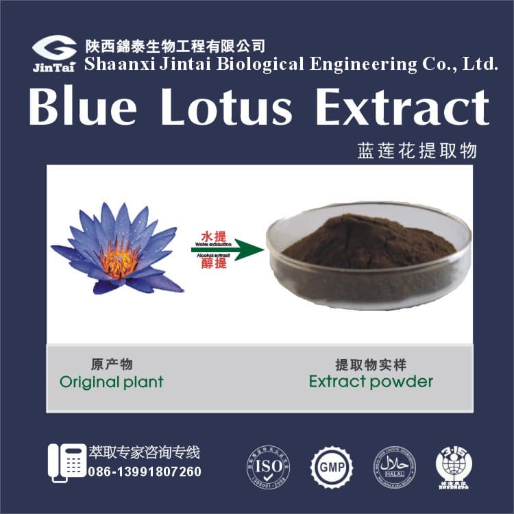 factory supply natural pure Blue Lotus powder